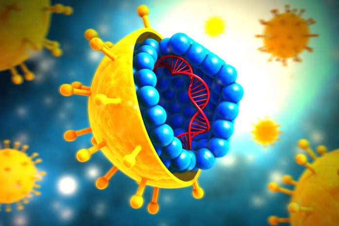 6 Nuevos hallazgos sobre los virus que te sorprenderán