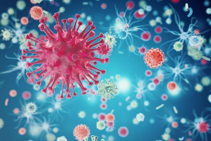 ¿Qué es la viroterapia y cómo puede acabar con el cáncer?