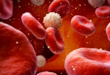 ¿Cuál es el nivel ideal de azúcar en sangre para prevenir infartos? ¿Cuál es el nivel ideal de azúcar en sangre para prevenir infartos?