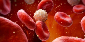 ¿Cuál es el nivel ideal de azúcar en sangre para prevenir infartos? ¿Cuál es el nivel ideal de azúcar en sangre para prevenir infartos?