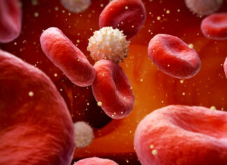 ¿Cuál es el nivel ideal de azúcar en sangre para prevenir infartos? ¿Cuál es el nivel ideal de azúcar en sangre para prevenir infartos?