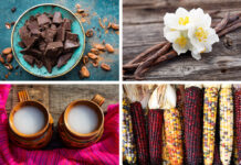 4 Leyendas sobre alimentos mexicanos 4 Leyendas sobre alimentos mexicanos