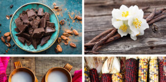 4 Leyendas sobre alimentos mexicanos 4 Leyendas sobre alimentos mexicanos