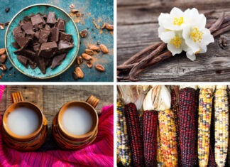 4 Leyendas sobre alimentos mexicanos 4 Leyendas sobre alimentos mexicanos