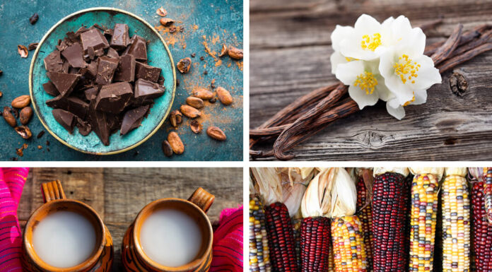 4 Leyendas sobre alimentos mexicanos 4 Leyendas sobre alimentos mexicanos
