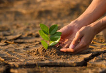 ¿Cuánto tardaría el clima en recuperarse? ¿Cuánto tardaría el clima en recuperarse?