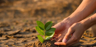 ¿Cuánto tardaría el clima en recuperarse? ¿Cuánto tardaría el clima en recuperarse?