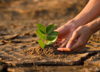 ¿Cuánto tardaría el clima en recuperarse? ¿Cuánto tardaría el clima en recuperarse?