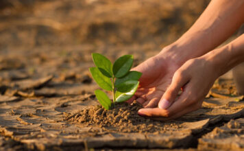 ¿Cuánto tardaría el clima en recuperarse? ¿Cuánto tardaría el clima en recuperarse?