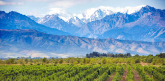 7 Lugares para visitar en Mendoza, Argentina 7 Lugares para visitar en Mendoza, Argentina