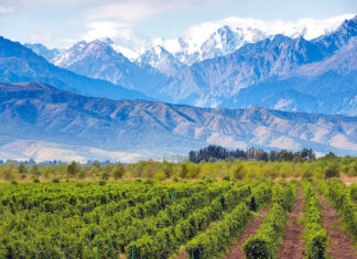 7 Lugares para visitar en Mendoza, Argentina 7 Lugares para visitar en Mendoza, Argentina